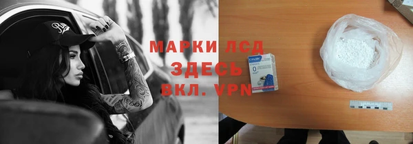 гидра Санкт-Петербург