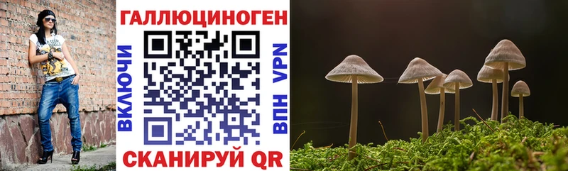 Галлюциногенные грибы ЛСД  Купить где  Надым 